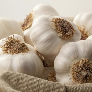 Photo of garlic bulbs