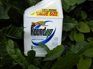 Photo of a container of Roundup