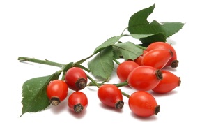 photo of rosehips