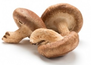 photo of shiitake mushrooms