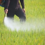 Photo of pesticides being sprayed on a field