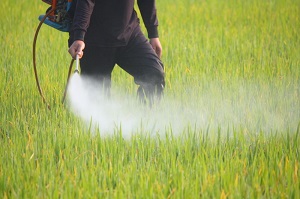 Photo of pesticides being sprayed on a field