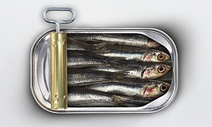 Photo of sardines in a tin