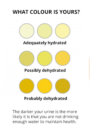 Military Urine Color Chart