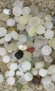 photo of microbeads