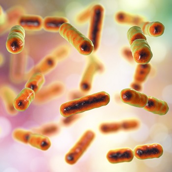 Depression’s link to gut bacteria